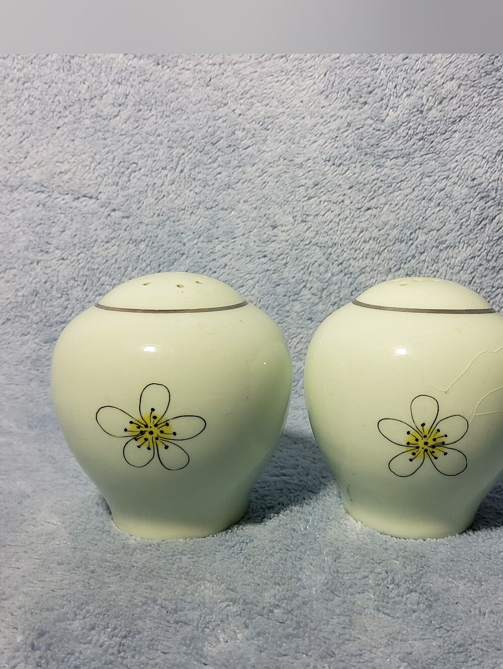 Vintage 1950s Nobility Permaware Mist S&P Shakers MCM Atomic Daisies No Stoppers